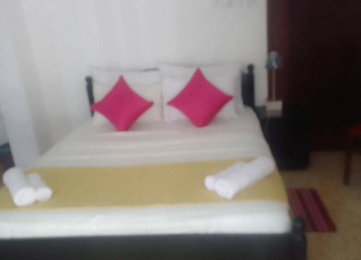 Steur Villa Negombo Kwatera prywatna