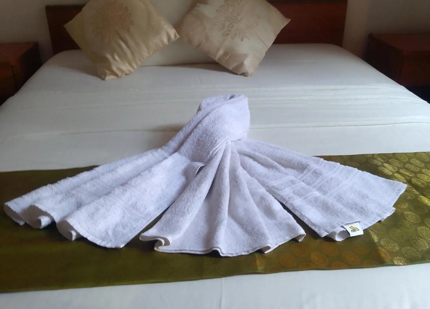 Steur Villa Negombo Kwatera prywatna